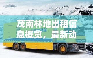 茂南林地出租信息概览，最新动态，不容错过