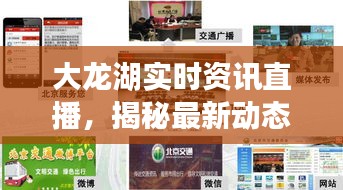 大龙湖实时资讯直播，揭秘最新动态