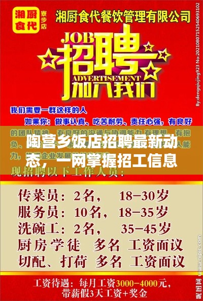 陶营乡饭店招聘最新动态,一网掌握招工信息