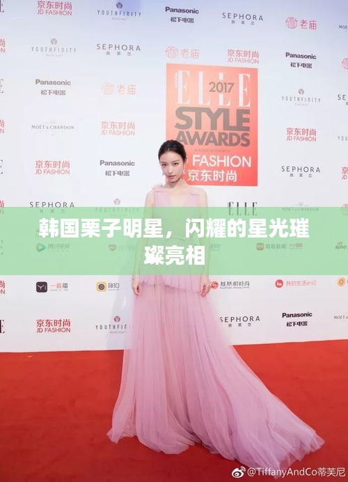 韩国栗子明星,闪耀的星光璀璨亮相