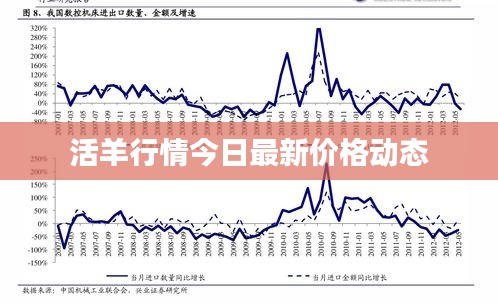 活羊行情今日最新价格动态