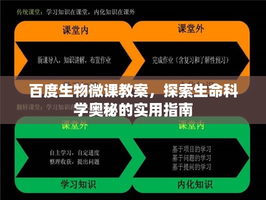 百度生物微课教案,探索生命科学奥秘的实用指南