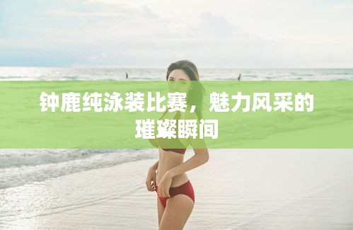 钟鹿纯泳装比赛,魅力风采的璀璨瞬间