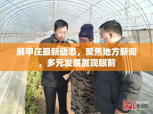 解甲庄最新动态,聚焦地方新闻,多元发展展现眼前