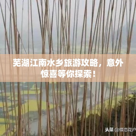 芜湖江南水乡旅游攻略,意外惊喜等你探索!