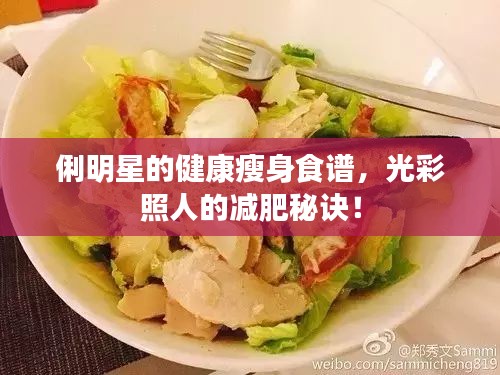 俐明星的健康瘦身食谱，光彩照人的减肥秘诀！