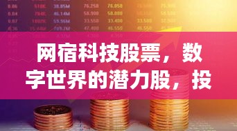 网宿科技股票,数字世界的潜力股,投资新宠!