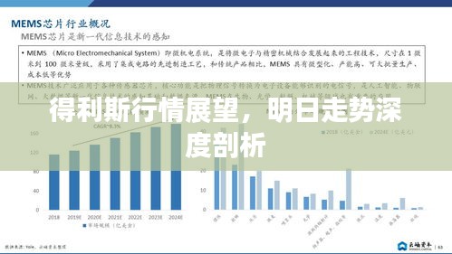 得利斯行情展望，明日走势深度剖析