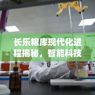 长乐粮库现代化进程揭秘，智能科技引领粮仓建设新篇章