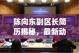 陈向东副区长简历揭秘，最新动态与成就速览