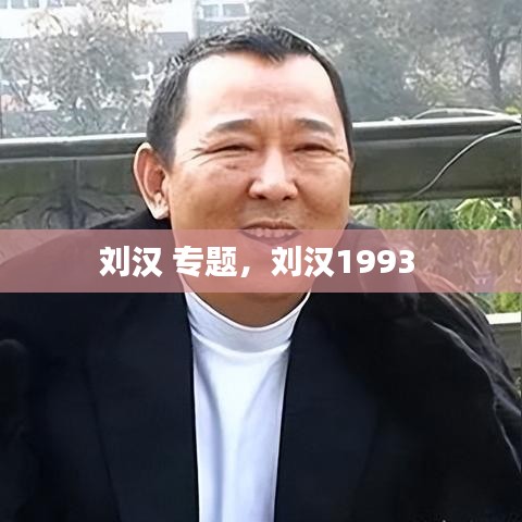 刘汉 专题,刘汉1993