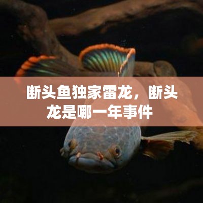 断头鱼独家雷龙,断头龙是哪一年事件