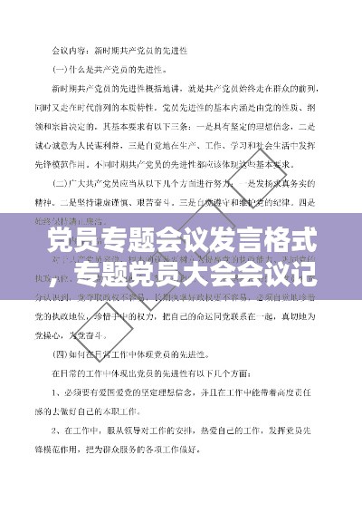 党员专题会议发言格式,专题党员大会会议记录
