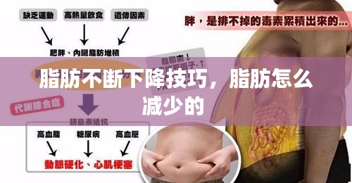 脂肪不断下降技巧,脂肪怎么减少的