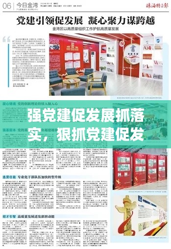 强党建促发展抓落实,狠抓党建促发展