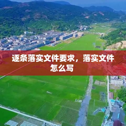 逐条落实文件要求,落实文件怎么写