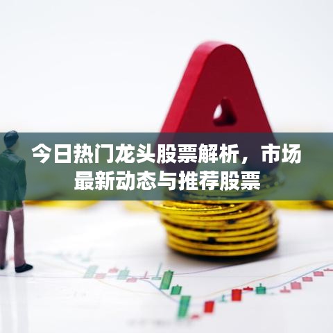 今日热门龙头股票解析,市场最新动态与推荐股票