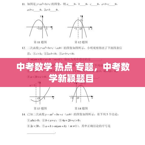 中考数学 热点 专题，中考数学新颖题目 