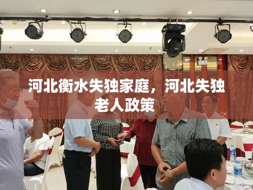 河北衡水失独家庭,河北失独老人政策