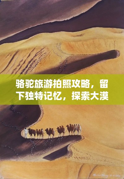 骆驼旅游拍照攻略，留下独特记忆，探索大漠风光！