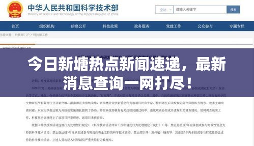 今日新塘热点新闻速递，最新消息查询一网打尽！