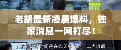 老胡最新凌晨爆料,独家消息一网打尽!