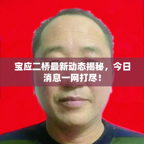 宝应二桥最新动态揭秘,今日消息一网打尽!